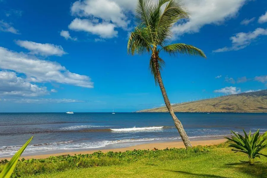 Sugar Beach Resort, #121 Condo Kihei 0*,  United States
