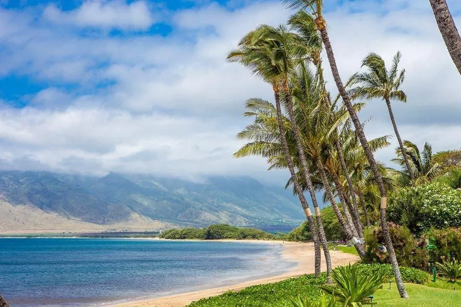 Apartment Sugar Beach Resort, #121 Condo Kihei United States